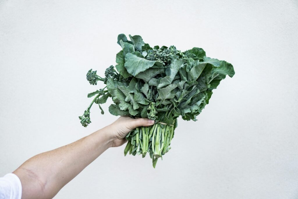 Green Leafed Plant - Kale
