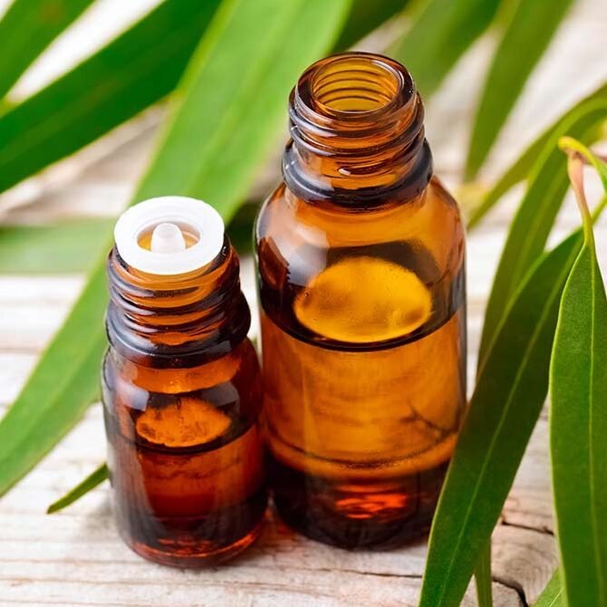 Essential Oil in two bottles